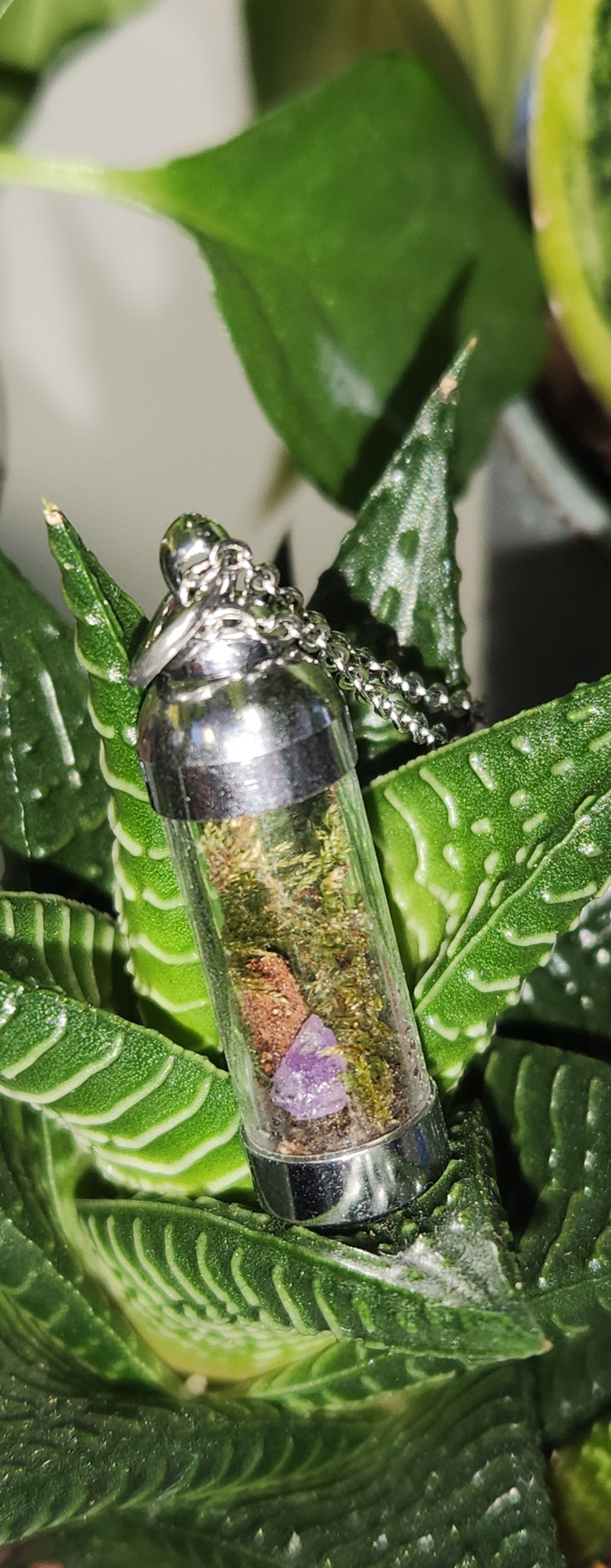 succulent terrarium necklace Terrarium Necklace